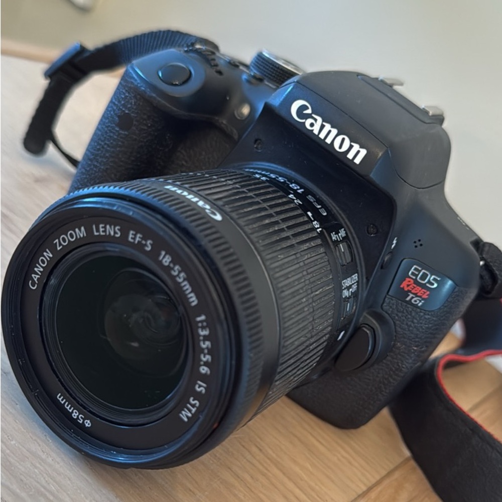 Canon rebel t6i & 50mm lens